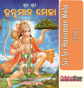 Read more about the article Devotional Rituals and Practices in Sri Sri Hanuman Mela